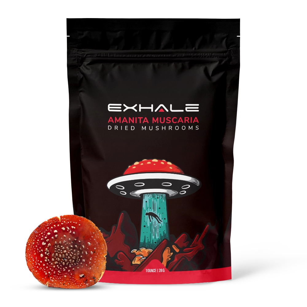 Amanita Muscaria Dried Mushrooms by Exhale