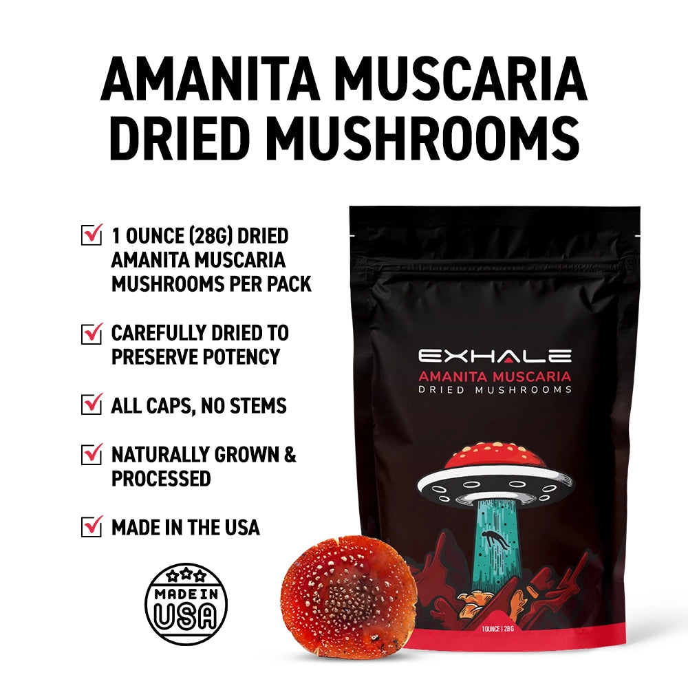 Amanita Muscaria Dried Mushrooms by Exhale