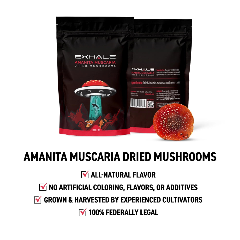 Amanita Muscaria Dried Mushrooms by Exhale