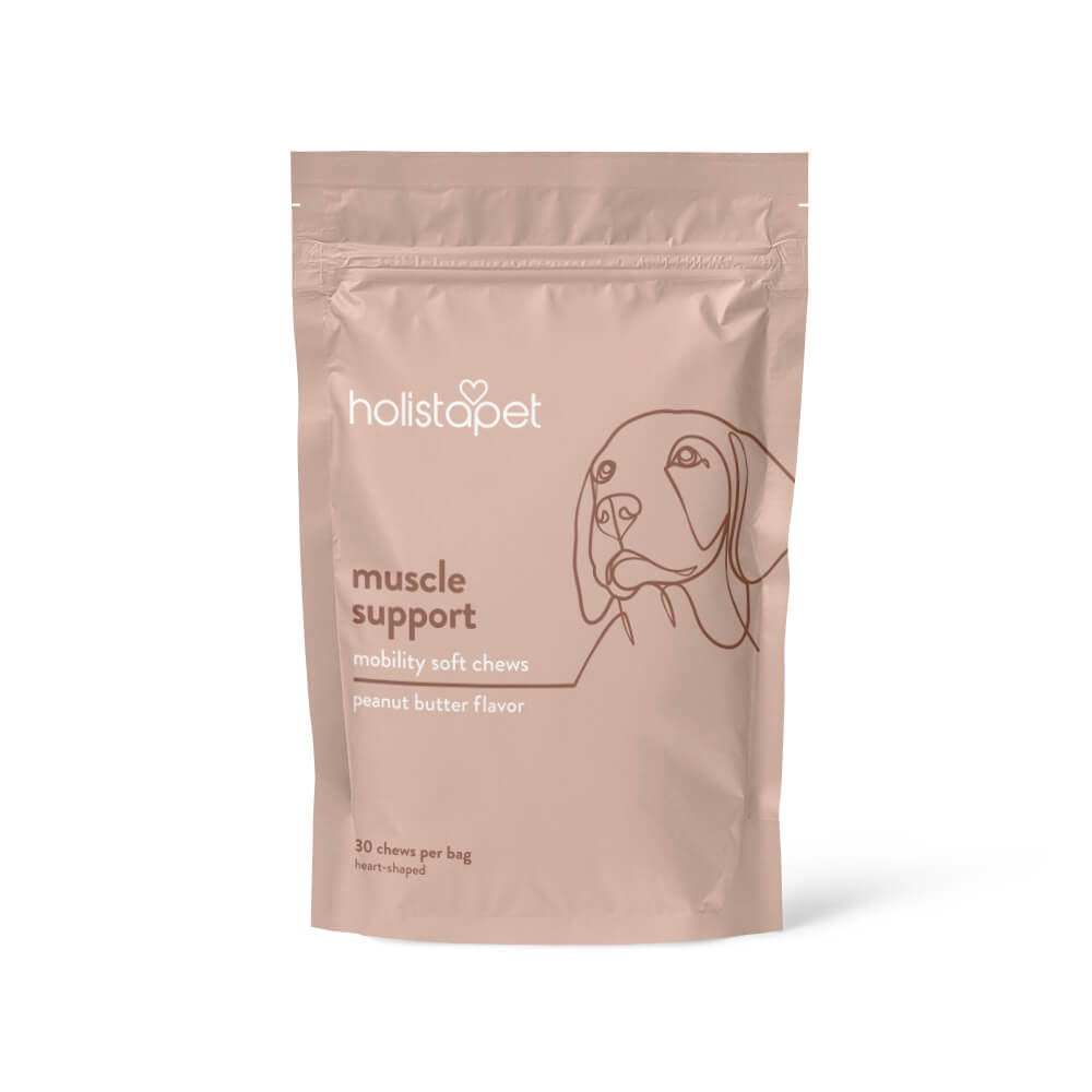 Muscle Support Soft Chews For Dogs by Holistapet