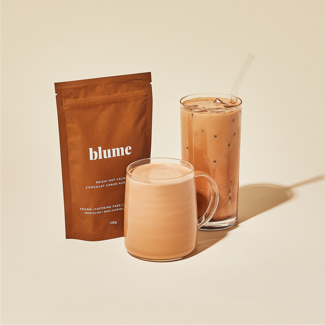 Reishi Hot Cacao Blend by Blume