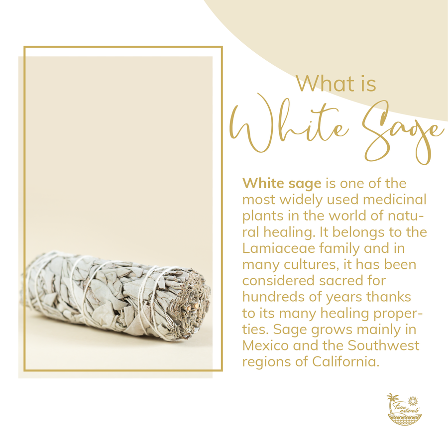 White Sage Bundle